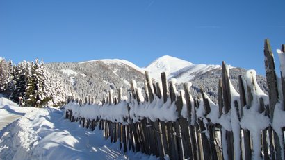 Hotel Purvita